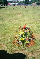 Jim's resting place