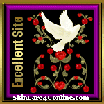 SkinCare4U Excellent Site Award Winner - 12/6/03