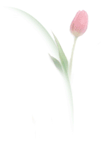 Return to homepage